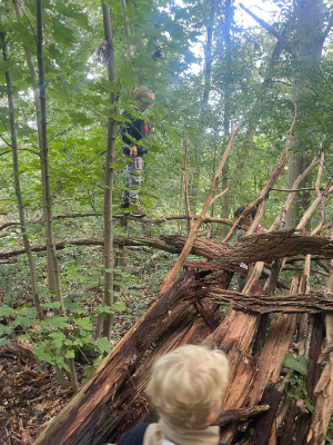 Sint-Martinus den XIIde - Opening 2024